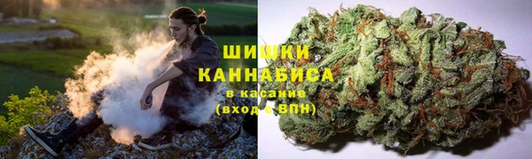 мдма Гусев